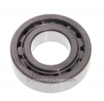 PINION NOSE BEARING